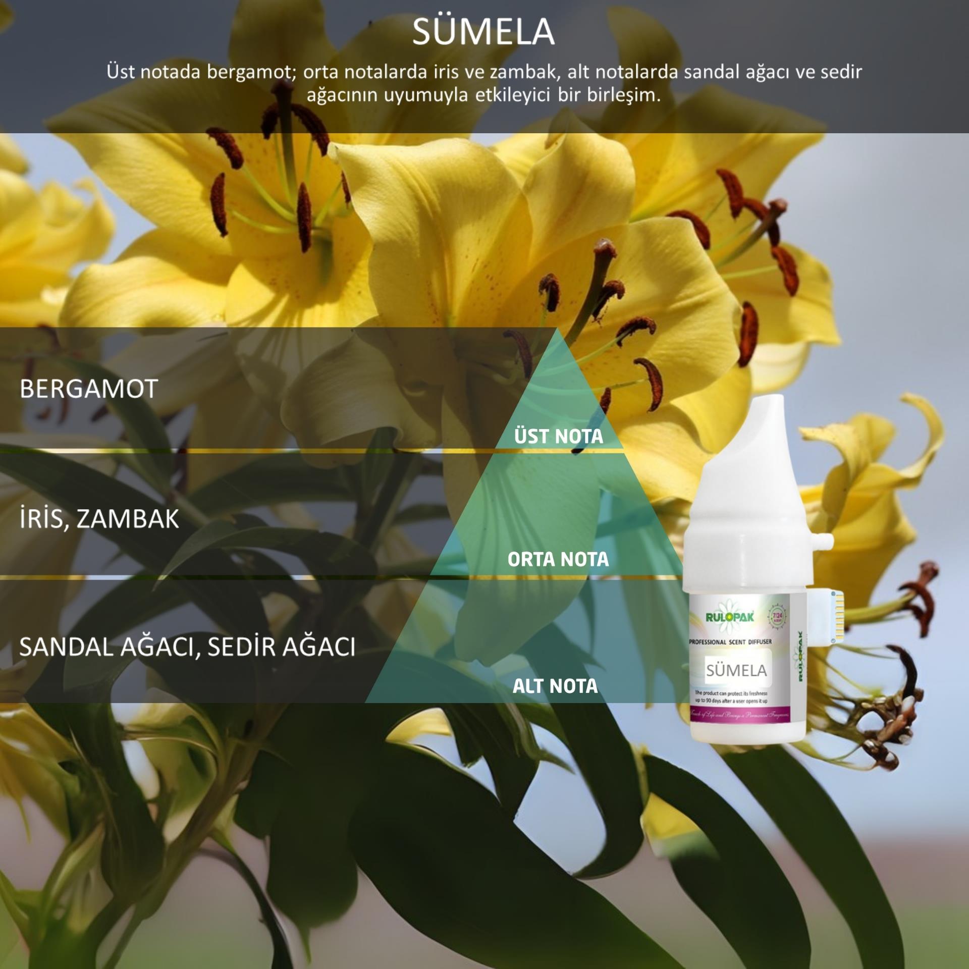 Rulopak 200525 046 Sümela Koku Kartuşu