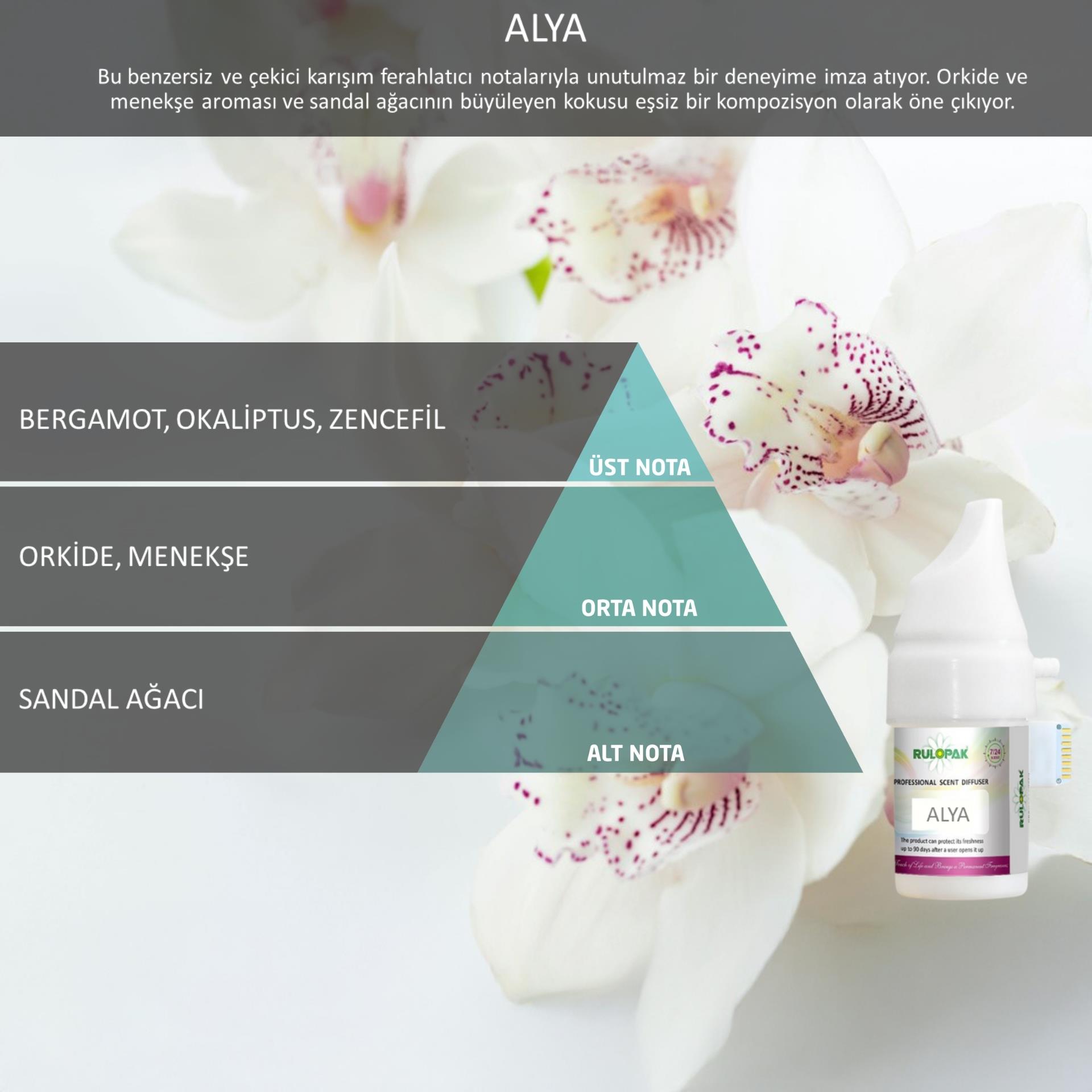 Rulopak 200529 861 Alya Koku Kartuşu
