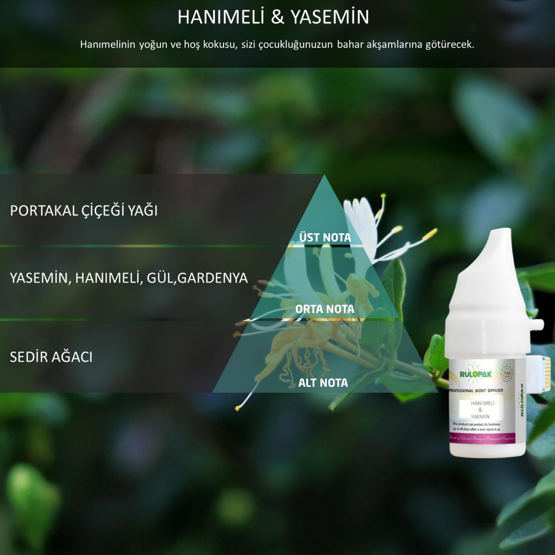 Rulopak Cosmic M5 Hanımeli Yasemin Koku Kartuşu 100 ml