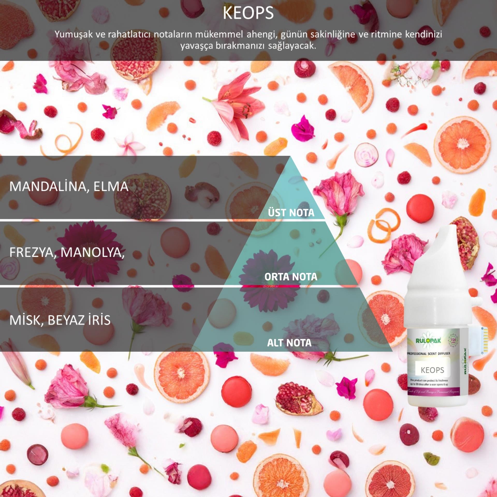 Rulopak Cosmic M5 Keops Koku Kartuşu 100 ml