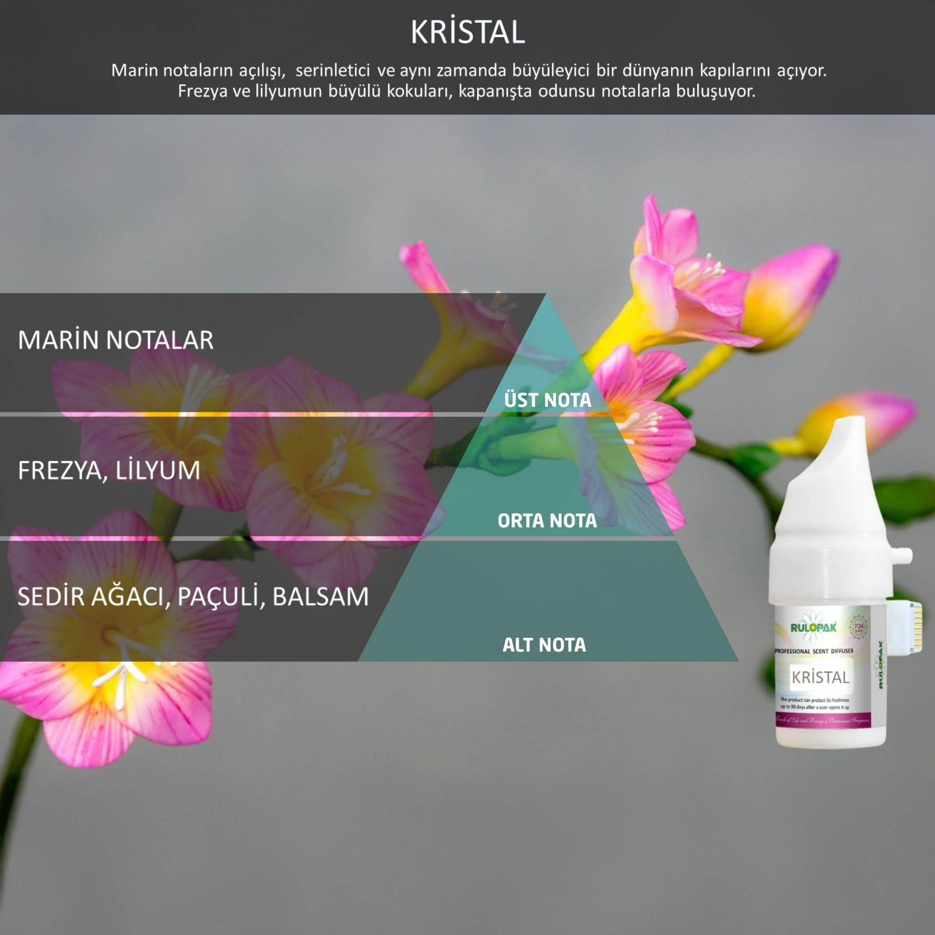 Rulopak Cosmic M5 Kristal Koku Kartuşu 100 ml