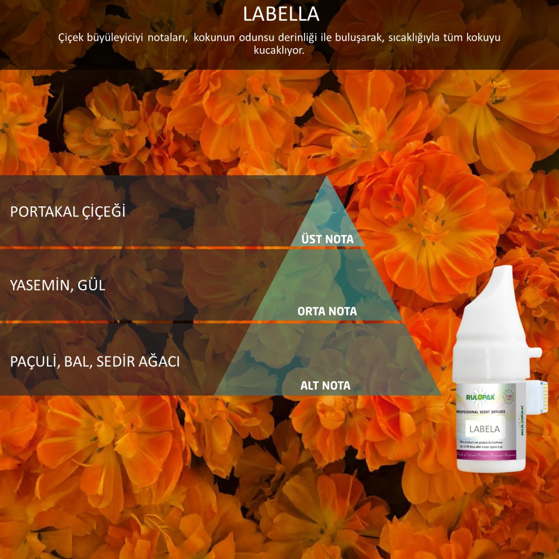 Rulopak Cosmic M5 Labella Koku Kartuşu 100 ml