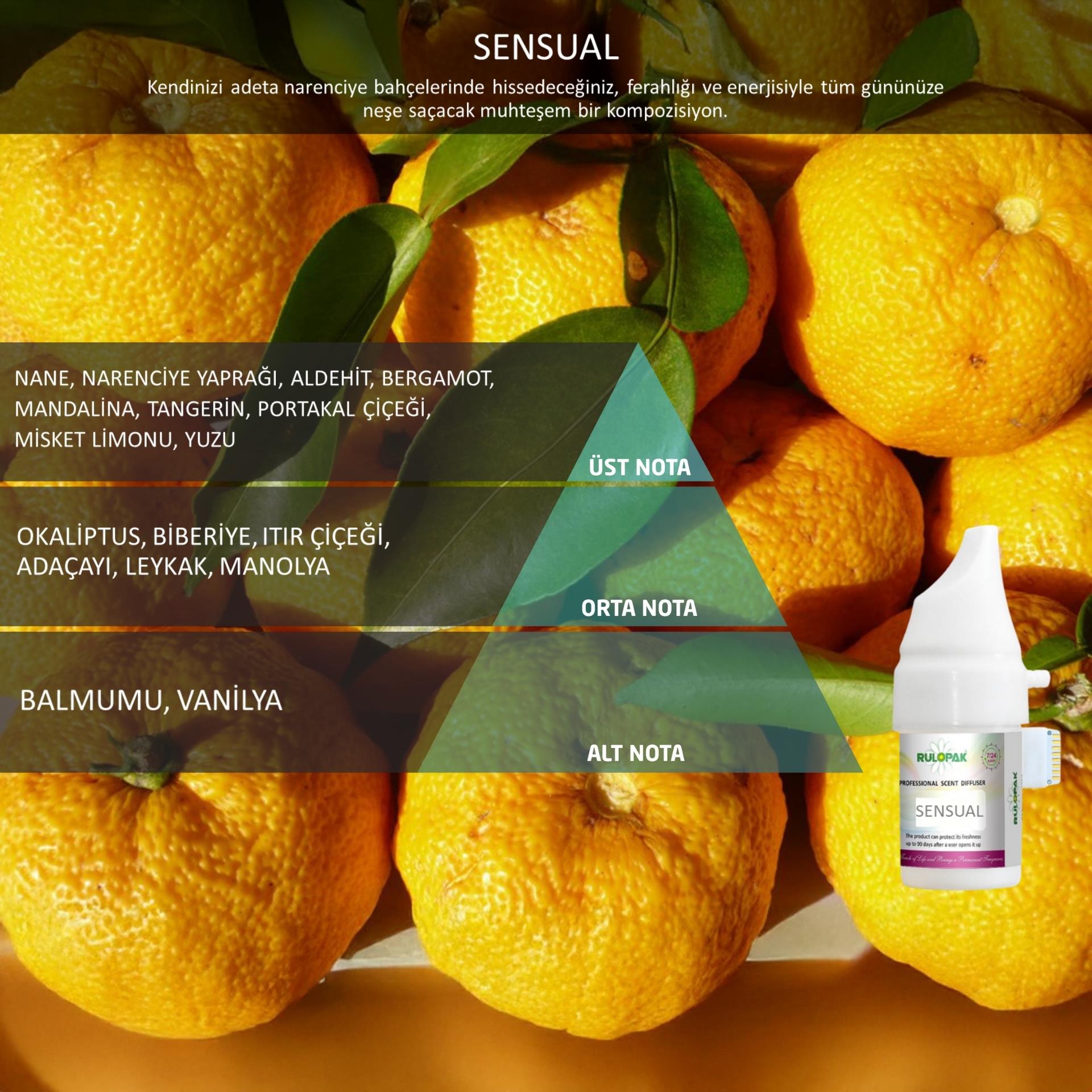 Rulopak Cosmic M5 Sensual Koku Kartuşu 100 ml