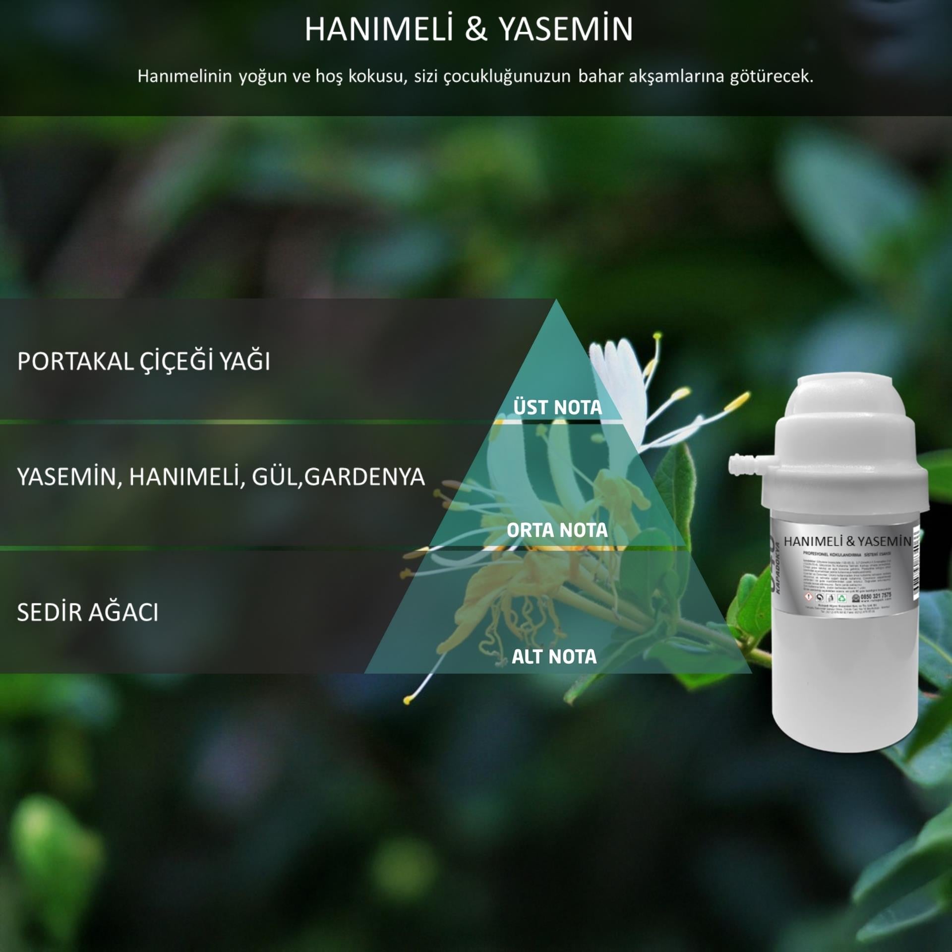 Rulopak Nanoplus M7 Hanımeli Yasemin Koku Kartuşu 200 ml