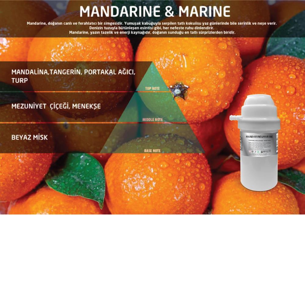 Rulopak Nanoplus M7 Marine Mandarine Koku Kartuşu 100 ml