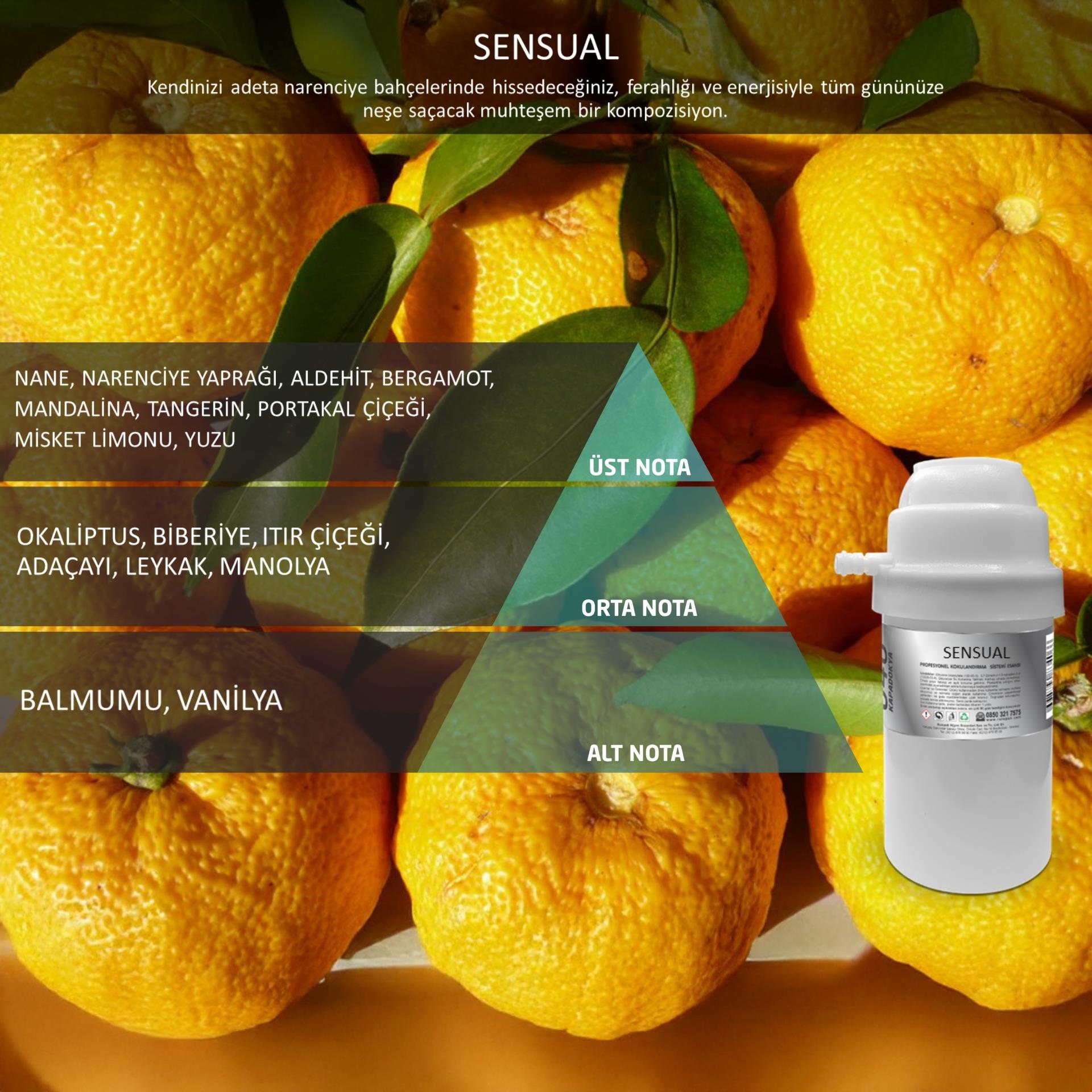 Rulopak Nanoplus M7 Sensual Koku Kartuşu 100 ml