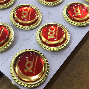 20 Adet 100.Yıl Rozeti, Türkiye Cumhuriyeti 100.Yıl Rozeti