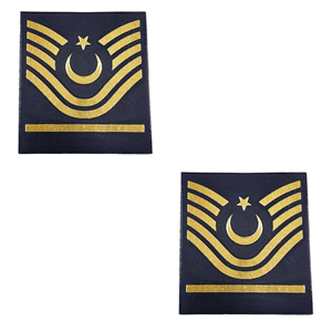 3D Plastik Jandarma Asayiş Astsubay Başçavuş Rütbe 