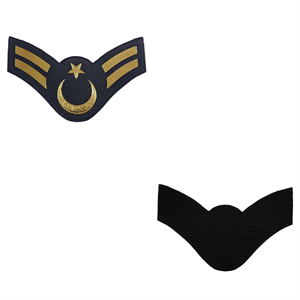 3D Plastik Jandarma Asayiş Astsubay Çavuş Rütbe 