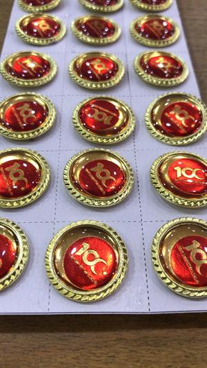 100. Yılı Rozeti, Türkiye Cumhuriyeti 100.Yıl Rozeti