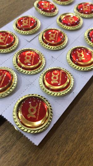 100. Yılı Rozeti, Türkiye Cumhuriyeti 100.Yıl Rozeti