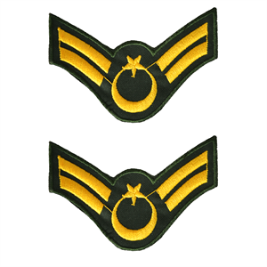 TSK Harici Nakış Astsubay Çavuş Rütbesi