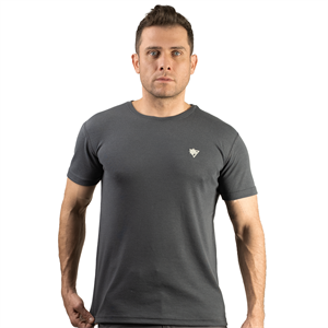 FUR Erkek Antrasit Basic Tişört - Kısa Kollu Bisiklet Yaka Regular Fit