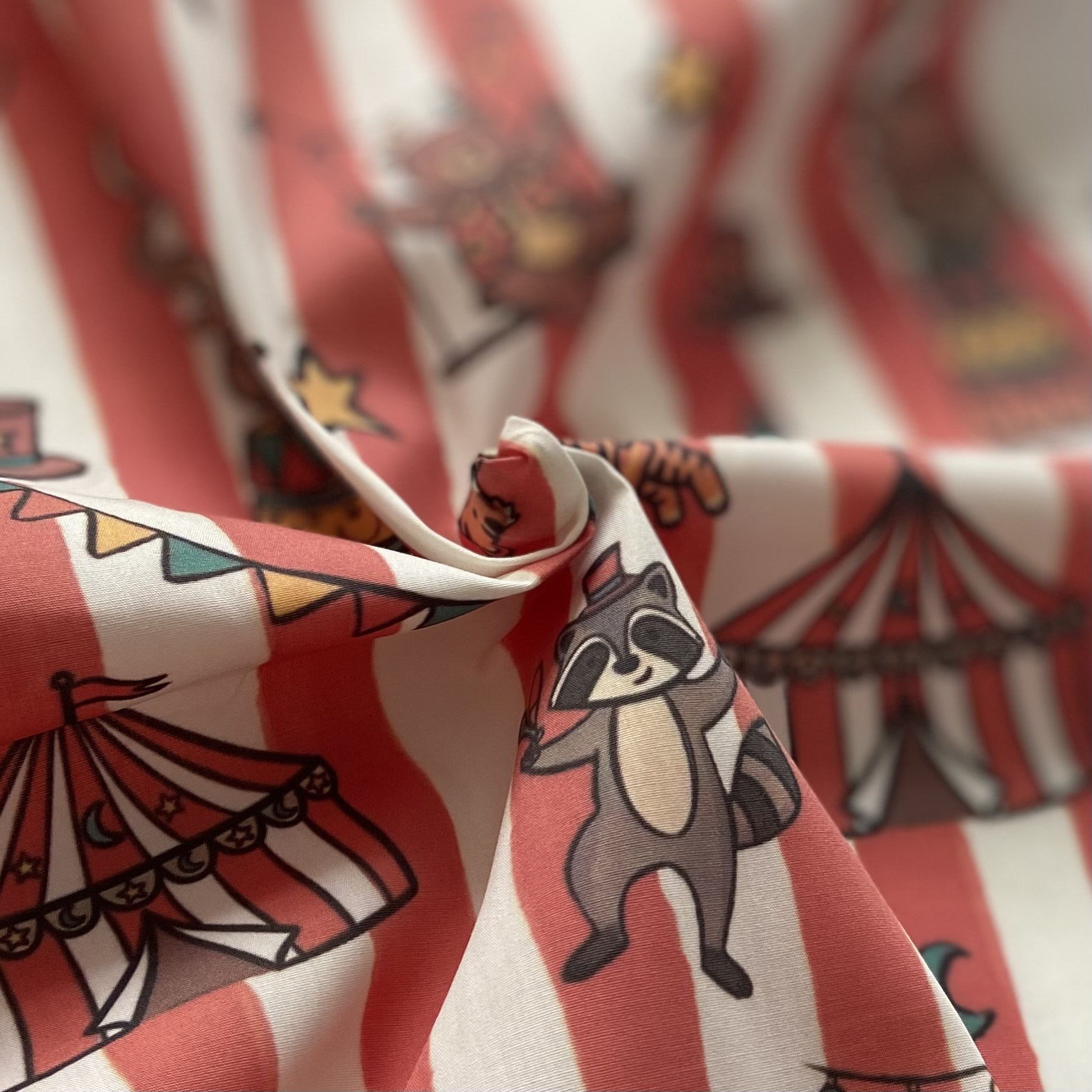 Circus Poplin Kumaş