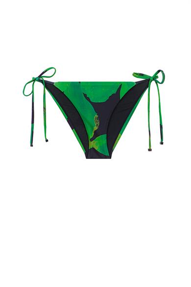 Diaspore Bikini Bottom