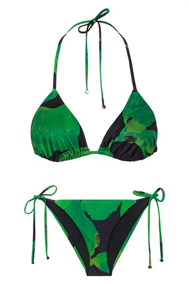 Diaspore Triangle Top