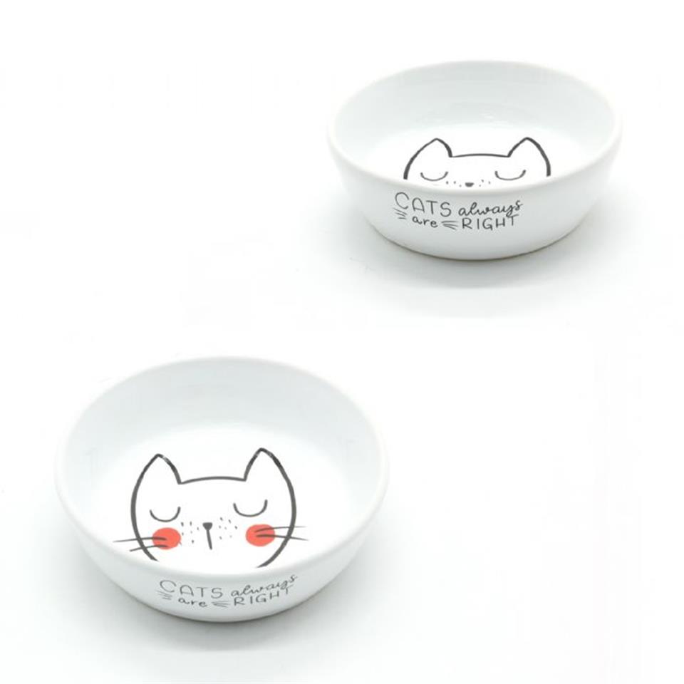10168-ALLY PAWS DESENLİ SERAMİK MAMA KABI 250ML