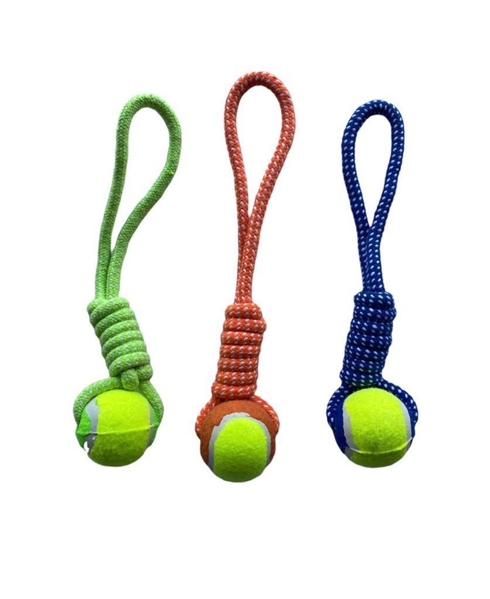 10649-ALLY PAWS KÖPEKLER İÇİN DİŞ İPİ 35CM