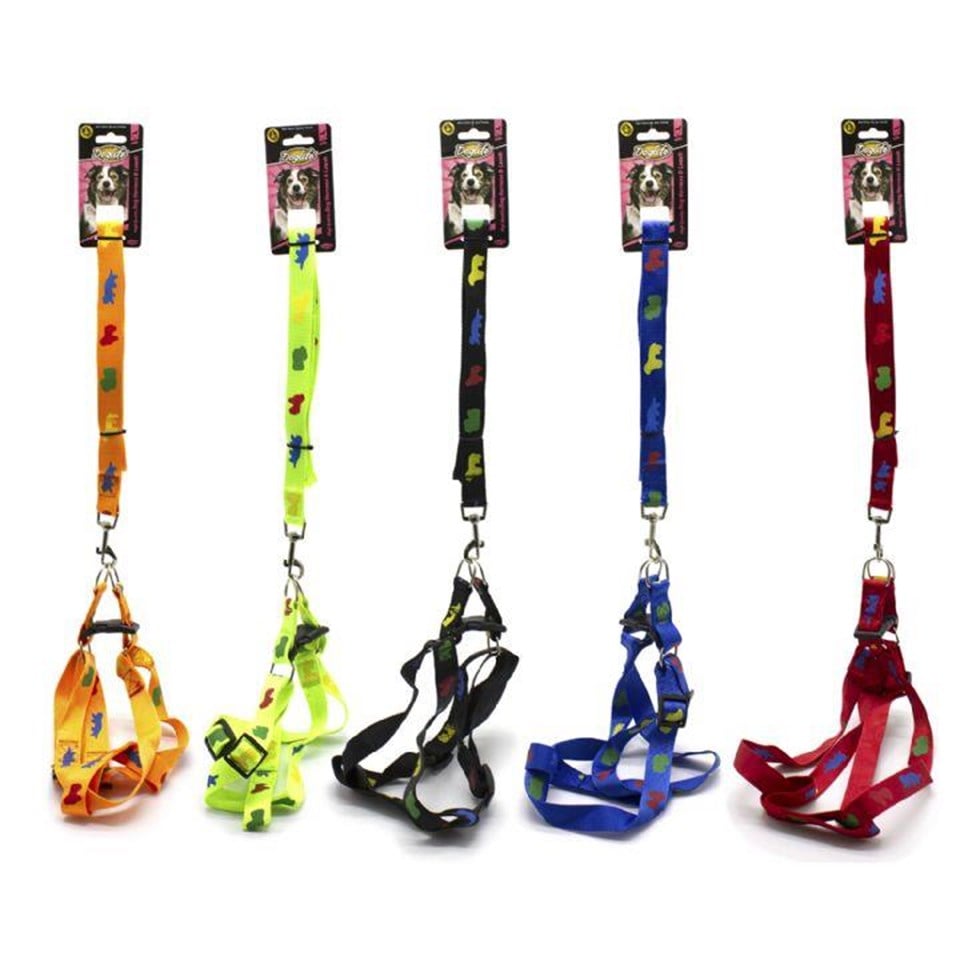 203202-DOGLİFE KÖPEKLER İÇİN DESENLİ GÖĞÜS+GEZDİRME TASMASI 2,5CM
