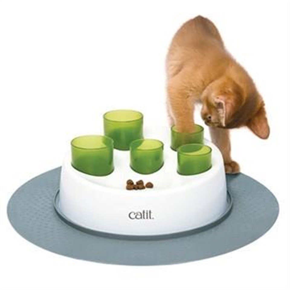 Catit Senses Mama Oyun Merkezi