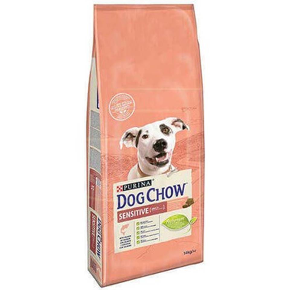 Dog Chow Somonlu Hassas Yetişkin Köpek Maması 14 Kg 