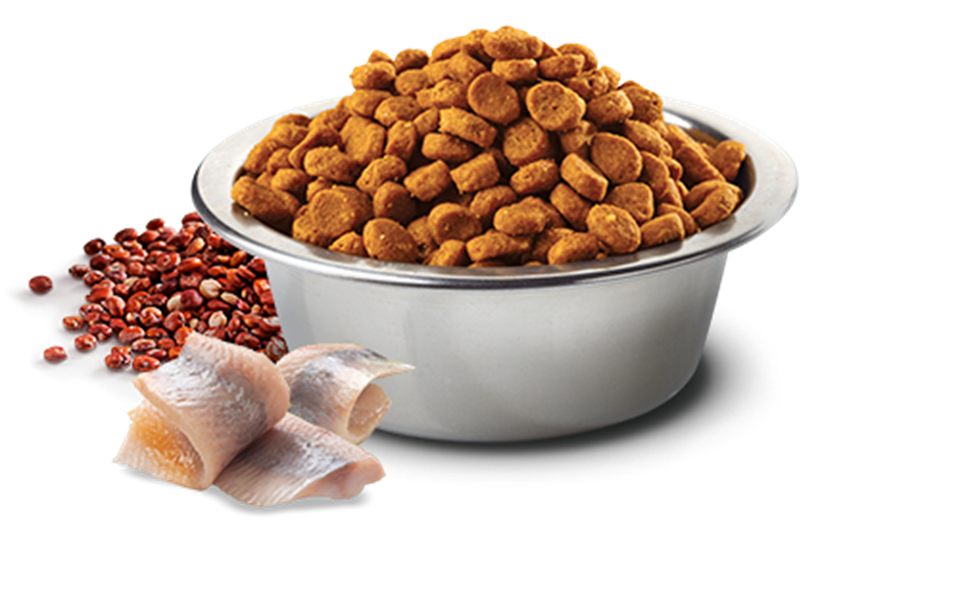 ND Kinoa Skin Coat Ringa Balıklı Yetişkin Kedi Maması 5 Kg