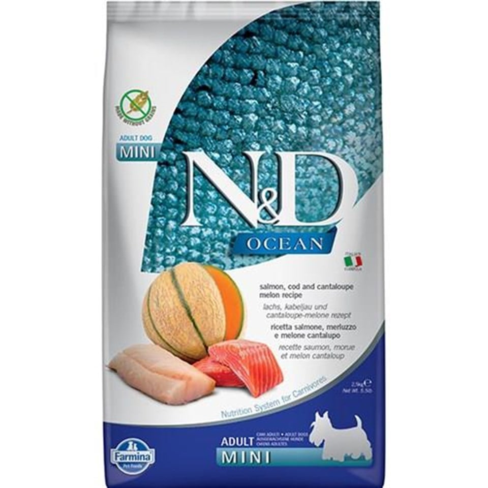 N&D Ocean Somon ve Morina Balıklı Kavunlu Mini Yetişkin Köpek Maması 2,5 Kg