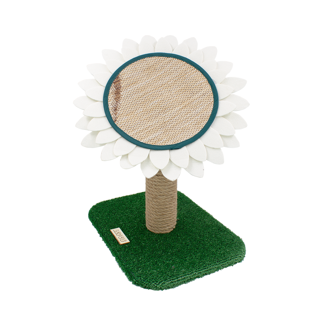 PAPATYA TIRMALAMA TAHTASI