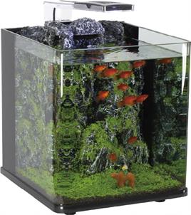 NANUX ROCK BLUBİOS DEKORLU NANO AKVARYUM 25X27X27CM