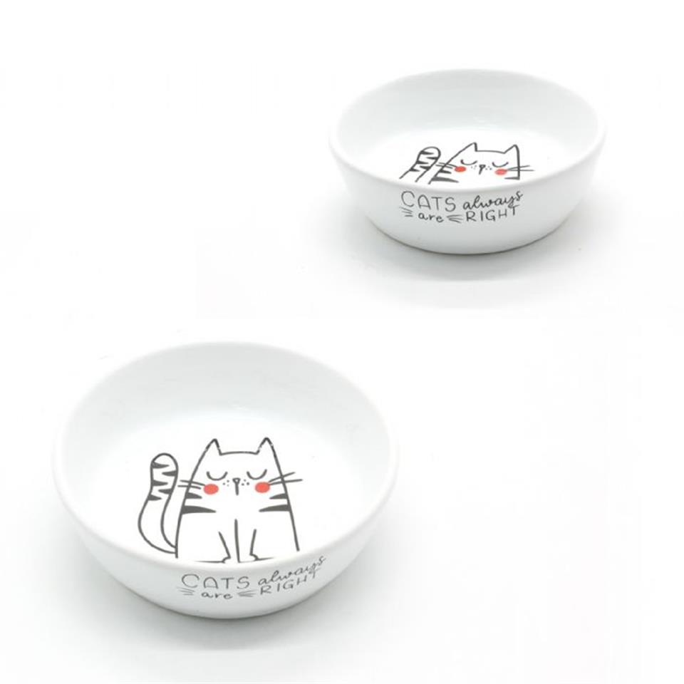 10167-ALLY PAWS DESENLİ SERAMİK MAMA KABI 250ML