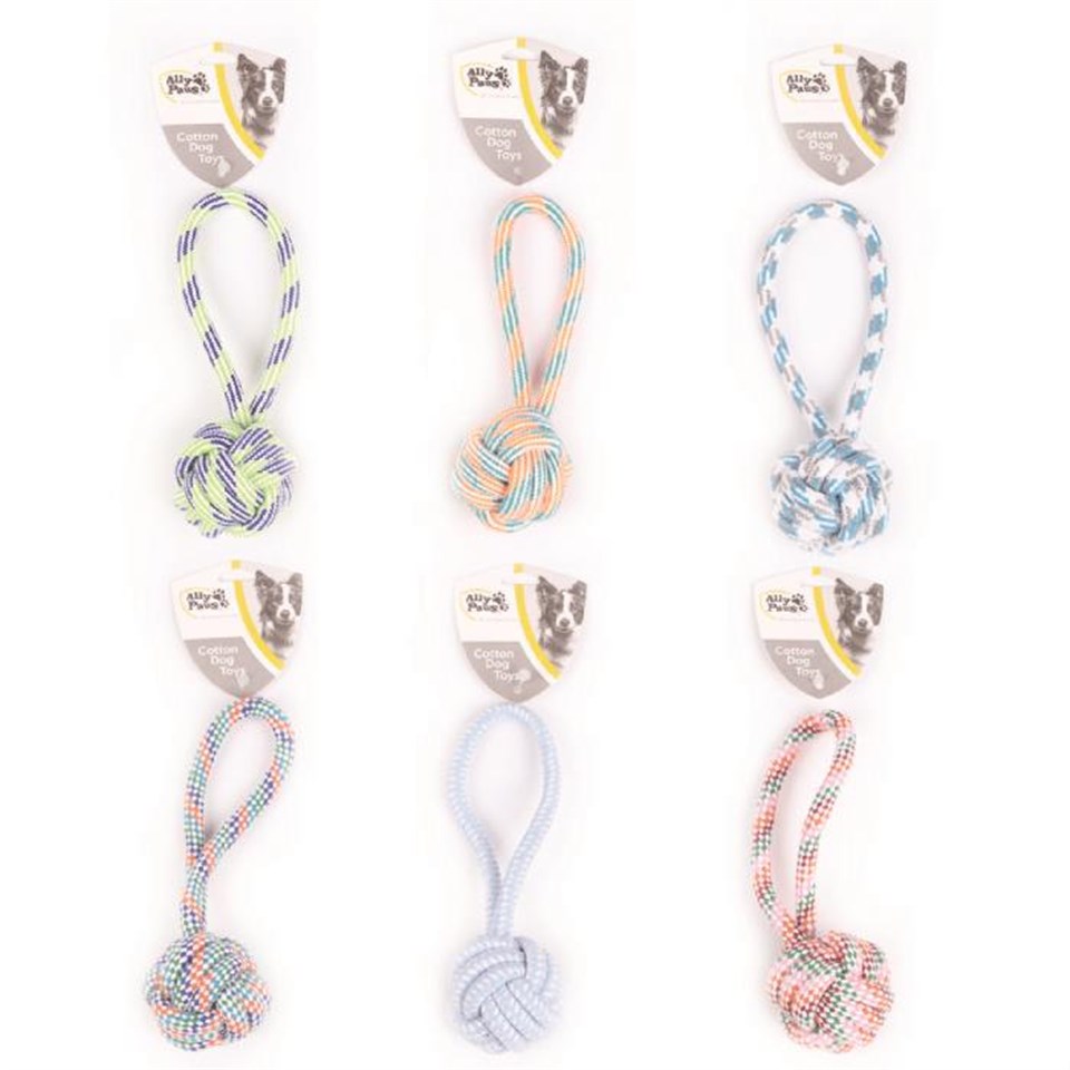 10620-ALLY PAWS KÖPEKLER İÇİN DİŞ İPİ 23CM