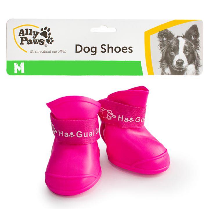 10806 ALLY PAWS KÖPEK AYAKKABISI MİX COLOR (M) 4LÜ