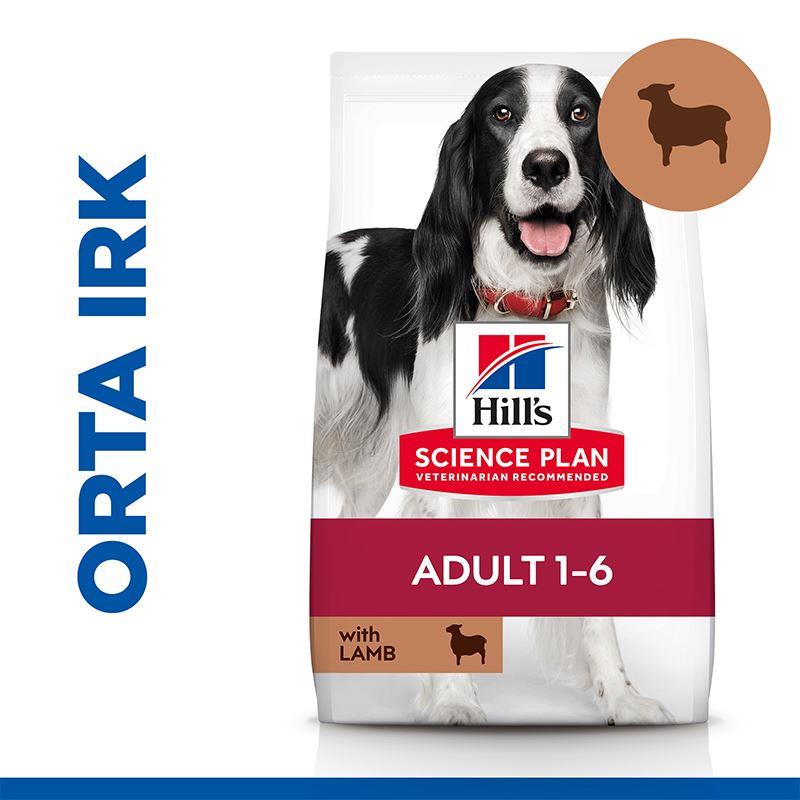 Hills Adult Lamb Kuzu Etli Orta Irk Yetişkin Köpek Maması 14kg