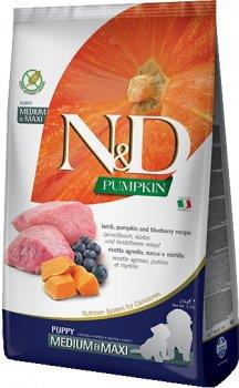 N&D Pumpkin Bal Kabaklı Kuzulu ve Yaban Mersinli Orta ve Büyük Irk Tahılsız Yavru Köpek Maması 12kg