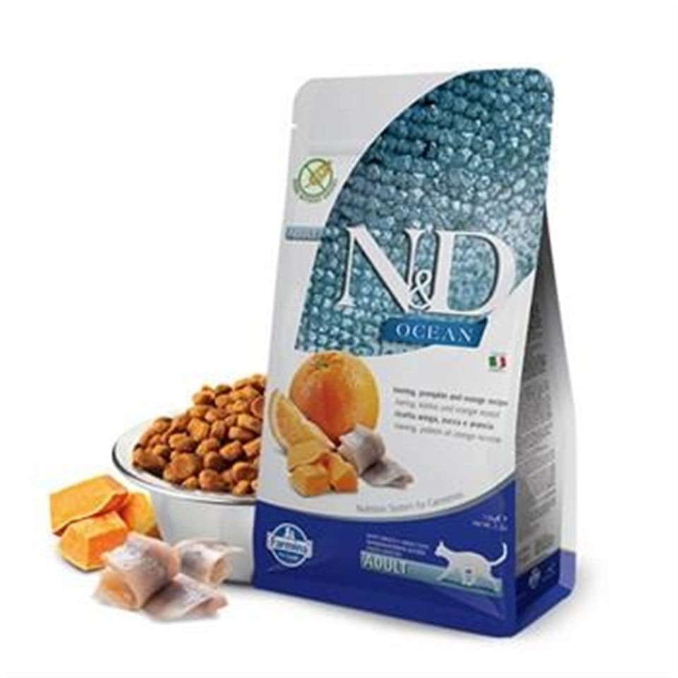 ND PUMPKİN PORTAKAL RİNGA 1,5 KG