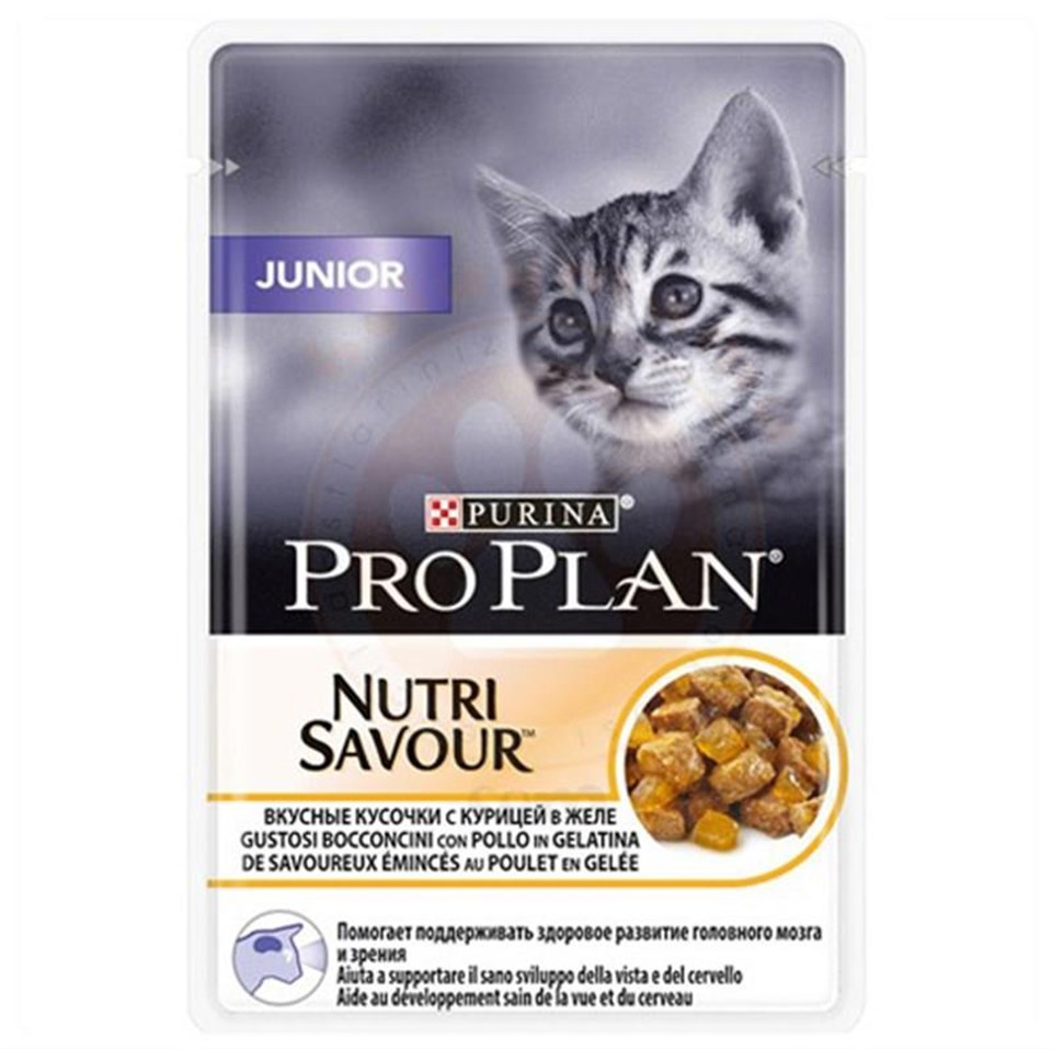 PRO PLAN TAVUK ETLİ KİTTEN POUCH 85 GR