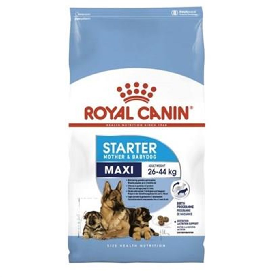 Royal Canin Maxi Starter Büyük Irk Anne ve Yavru Köpek Maması 15 Kg