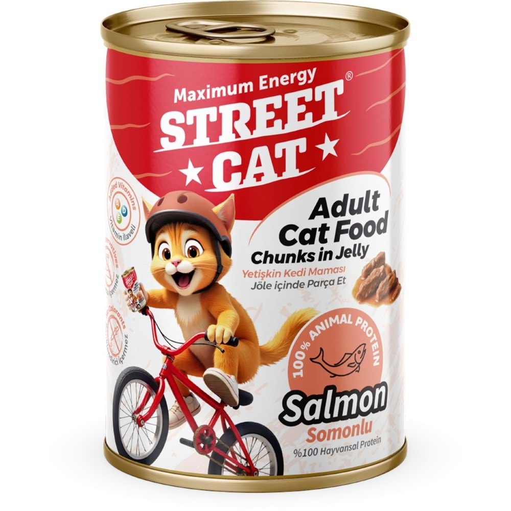 STREET CAT CHUNKS İN JELLY SOMONLU KEDİ KONSERVE 400GR