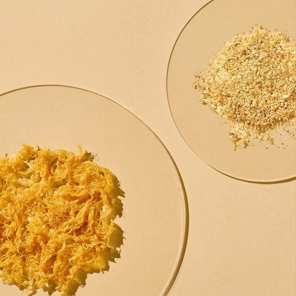 The Saem Gold Lifting Emulsion - Lifting Etkili Emülsiyon 115 ml