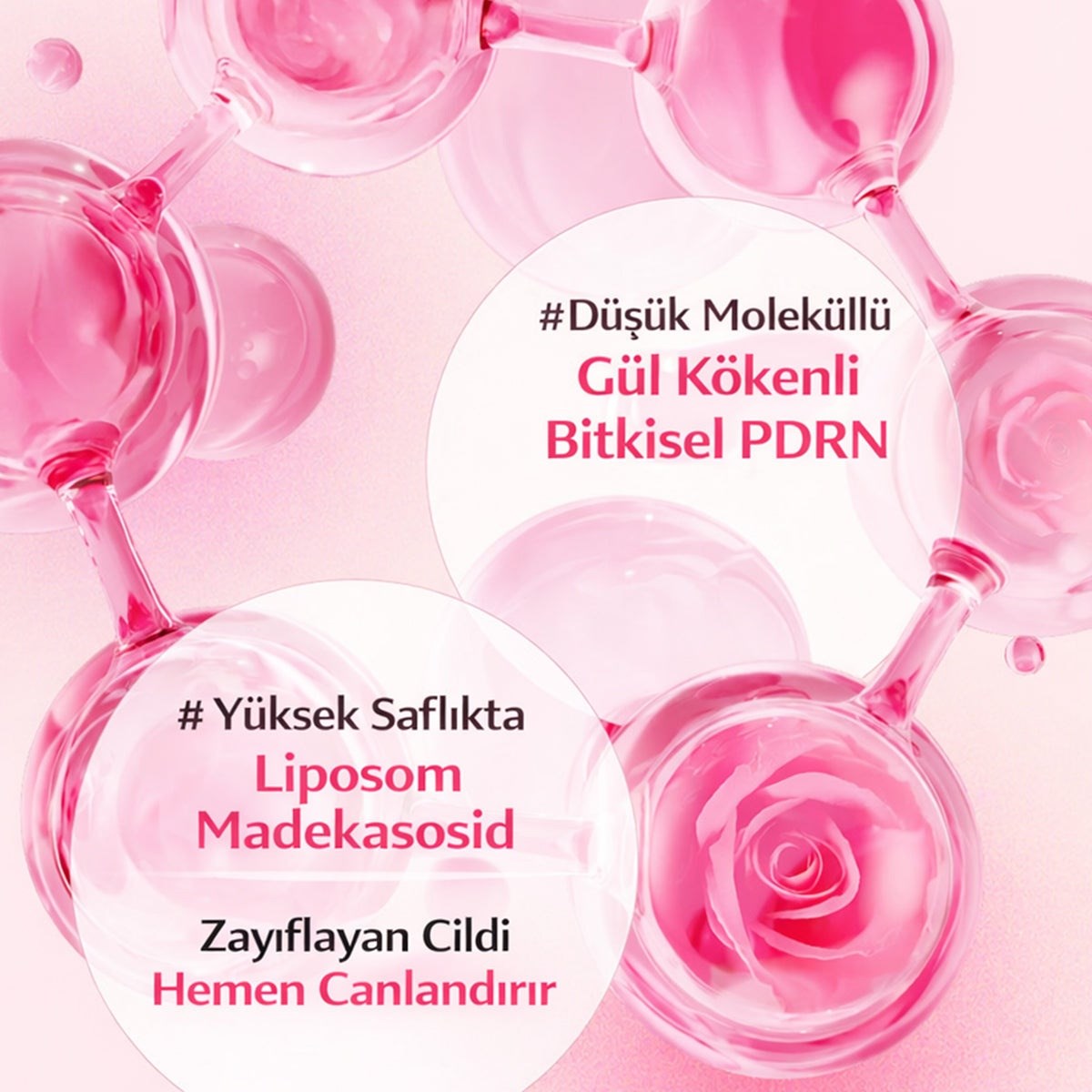The Saem Rose PDRN Ampoule – Sıkılaştırıcı Bakım Ampulü