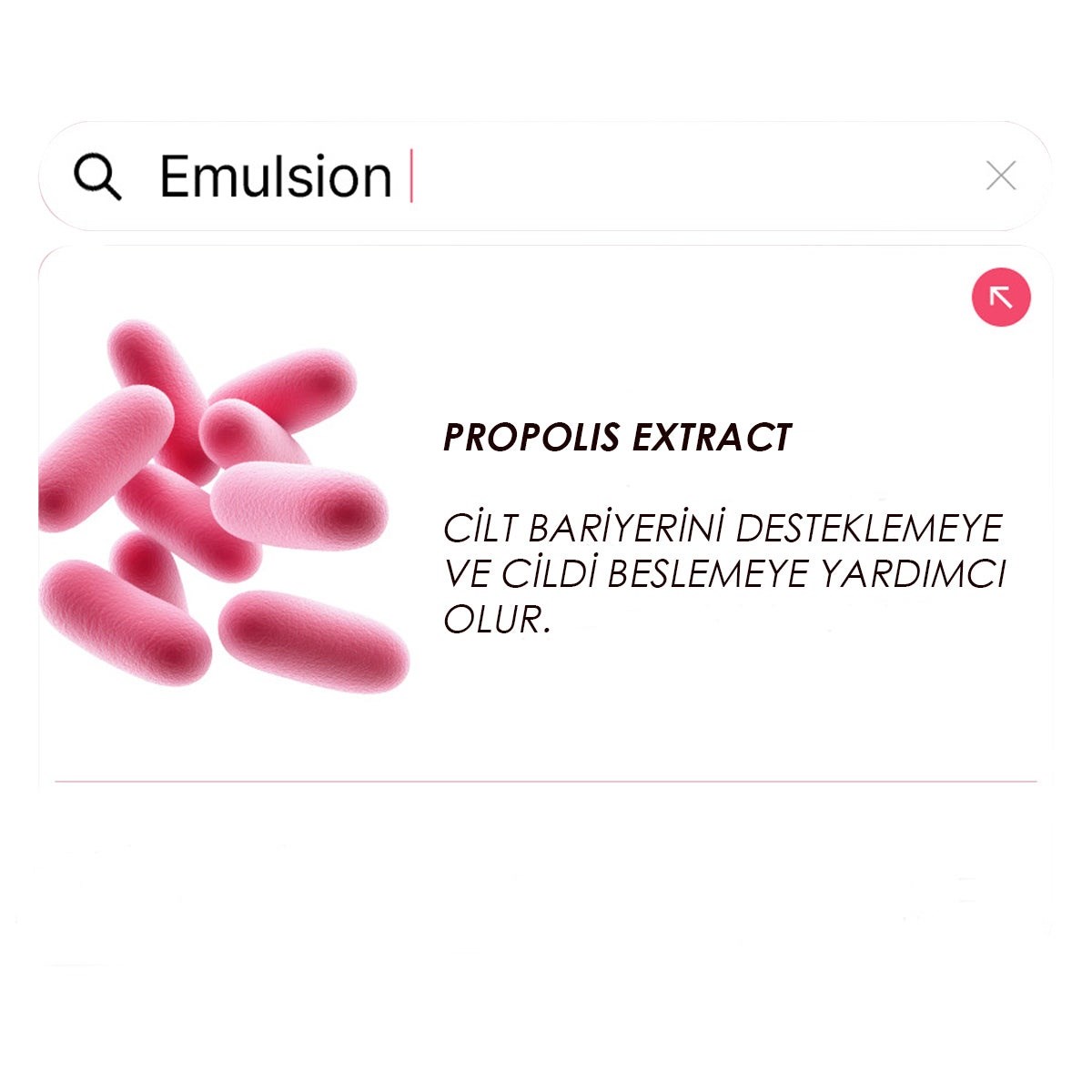 The Saem Wrinkle Prime Rose PDRN Set – Sıkılaştırıcı Bakım Seti