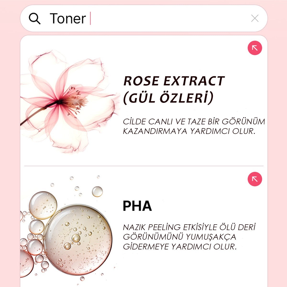 The Saem Wrinkle Prime Rose PDRN Set – Sıkılaştırıcı Bakım Seti