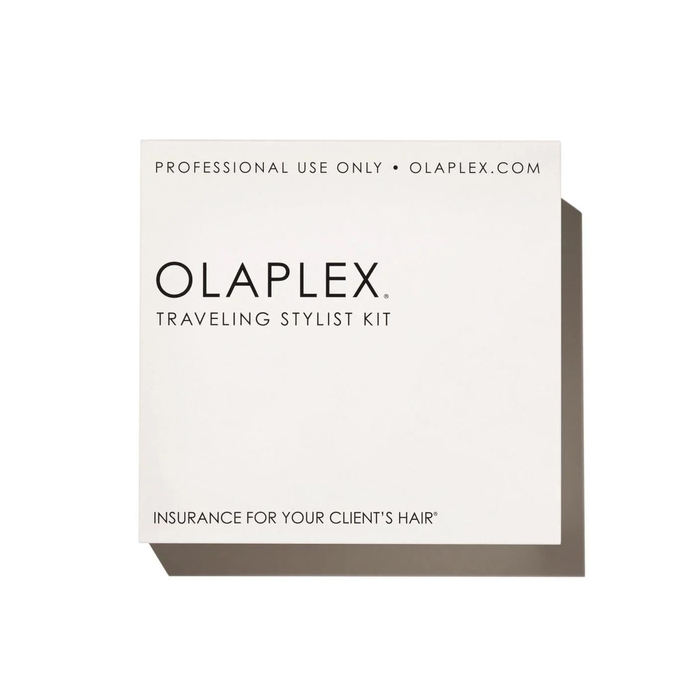 Traveling Stylist Kit