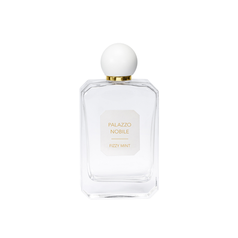 Fizzy Mint 100 ml