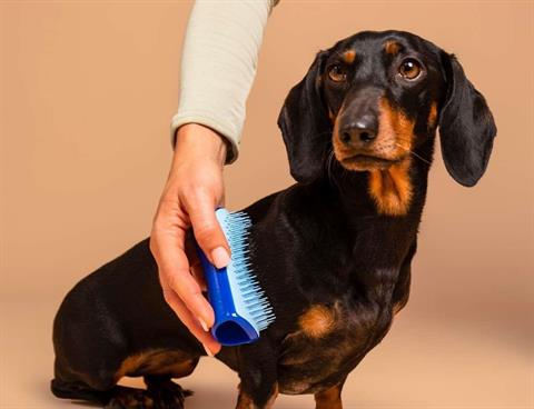 Tangle Teezer - Pet Teezer Deshedding Small Blue / Light Blue