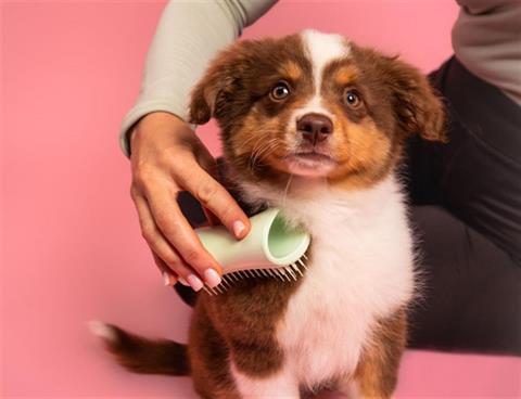 Tangle Teezer - Pet Teezer Puppy Brush Green / Green
