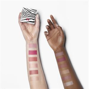 LE PHYTO-BLUSH N°6 SHIMMER  6.5 GR