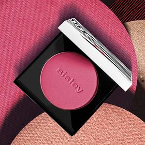 LE PHYTO-BLUSH N°6 SHIMMER  6.5 GR