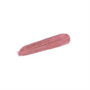 PHYTO-LIP TWIST MATTE N°22 BURGUNDY  2.5 GR