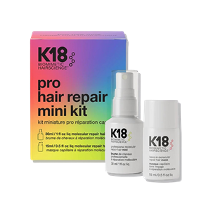 Pro Repair Mini Kit